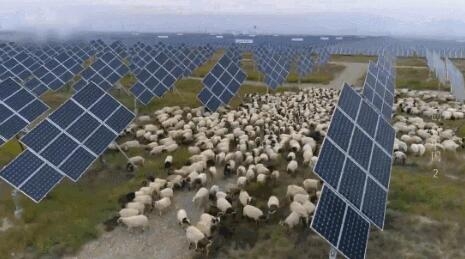 【電廠】2018年水電再次霸屏央視 水光互補(bǔ)項(xiàng)目閃亮登場(chǎng)！【電廠】2018年水電再次霸屏央視 水光互補(bǔ)項(xiàng)目閃亮登場(chǎng)！ 行業(yè)資訊 第6張