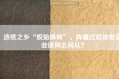 造紙之鄉(xiāng)“脫胎換骨”，陣痛過后造紙企業(yè)該何去何從？