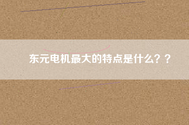 東元電機(jī)最大的特點(diǎn)是什么？？