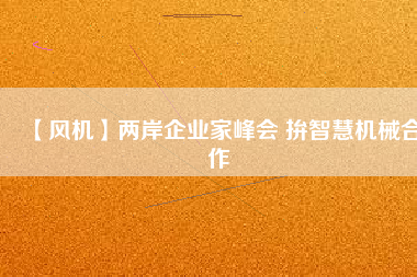 【風(fēng)機】兩岸企業(yè)家峰會 拚智慧機械合作