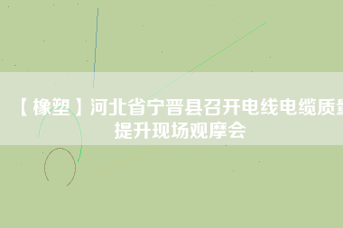 【橡塑】河北省寧晉縣召開(kāi)電線電纜質(zhì)量提升現(xiàn)場(chǎng)觀摩會(huì)
