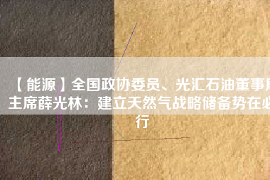【能源】全國(guó)政協(xié)委員、光匯石油董事局主席薛光林：建立天然氣戰(zhàn)略?xún)?chǔ)備勢(shì)在必行