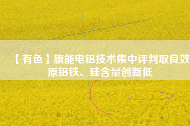 【有色】旗能電鋁技術(shù)集中評判取良效 原鋁鐵、硅含量創(chuàng)新低