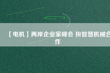 【電機】兩岸企業(yè)家峰會 拚智慧機械合作
          