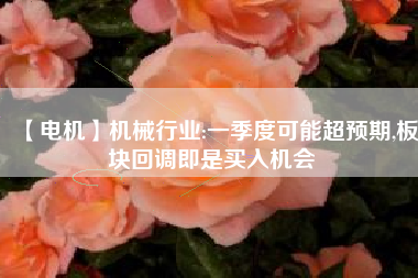 【電機】機械行業(yè):一季度可能超預(yù)期,板塊回調(diào)即是買入機會