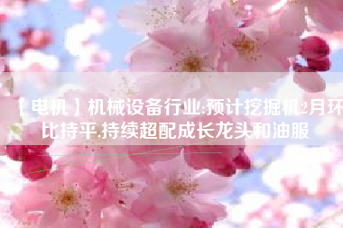 【電機】機械設(shè)備行業(yè):預(yù)計挖掘機2月環(huán)比持平,持續(xù)超配成長龍頭和油服
