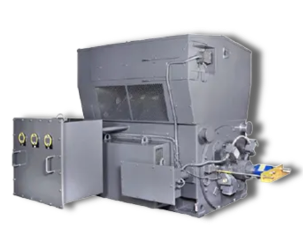 東元電機(jī)高壓異步電機(jī) WPII 系列 | TECO 鼠籠式 半密型 高壓電機(jī)