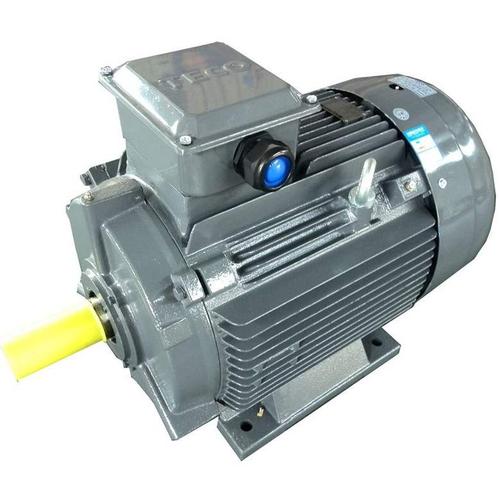 東元電機(jī) AEEVYY系列 三相異步電機(jī)